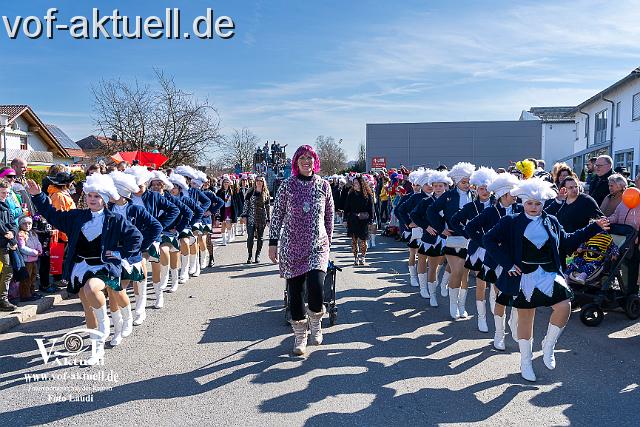 Foto Laudi_Faschingszug_Hofkirchen-56.jpg